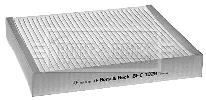 BORG & BECK filtras, salono oras BFC1029